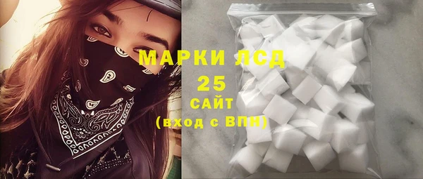индика Сафоново