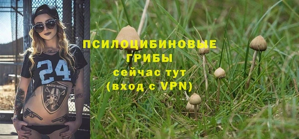 2c-b Балахна