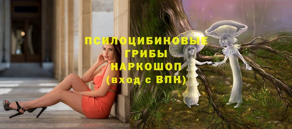 2c-b Балахна
