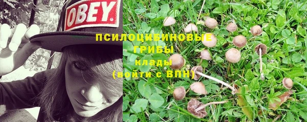 a pvp Балабаново